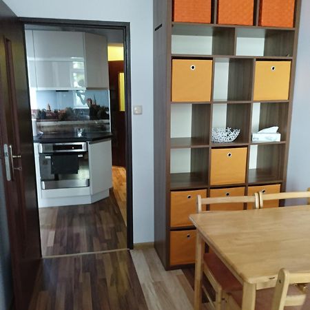 Mickiewicza47 Apartment Torun Bagian luar foto