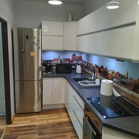 Mickiewicza47 Apartment Torun Bagian luar foto